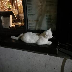 韩国啦啦队美女性爱视频
