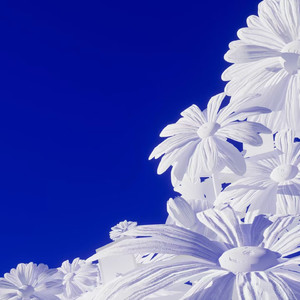 韩国啦啦队美女性爱视频
